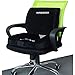 Memory Foam Lumbar Cushion - Back Cushion Lumbar Support Pillow for Office, Car and Chair