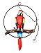 Ebros Patio Home Garden Hanging Scarlet Macaw Parrot Perching on Branch in Metal Round Ring Figurine Sculpture Nature Lovers Tropical Bird Collectors Decor 13.5