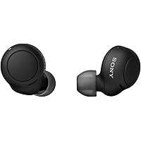 Sony WF-C500 Truly Wireless in-Ear Bluetooth Earbud Headphones with Mic and IPX4 water resistance, Black