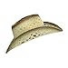 Western Toyo Straw Cowboy Hat, Shapeable w/ Stylish Beaded Concho Band