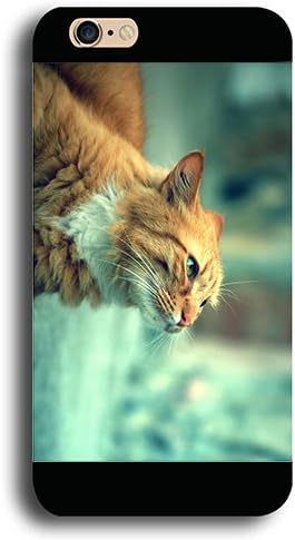 Amazon Iphone6 ケース 上をじっと見つめていつ猫ちゃん Iphone6 4 7インチ 専用 ポリカーボネート製ハードケース ブラック ケース カバー 通販