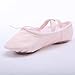 Stelle Canvas Ballet Shoes for Girls Dance Ballet Slippers Shoes（Toddler/Little/Big Kid/Women）(2ML, Ballet Pink)