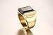Fashion Stainless Steel Gold Plated Vintage Square Black Agate Signet Rings for Men, Gold,Size 13