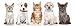 ID Puppy Collar – Super Soft Reflective Whelping Puppy Collars - Adjustable Breakaway Litter Collars Pups – Assorted Colors Reflective Plain & Camouflage Identification Collars – Set of 12 (Pack 12)