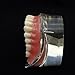 Smile1000 Dental Model Overdenture Inferior 2 Implants Demo for Studing and Teaching