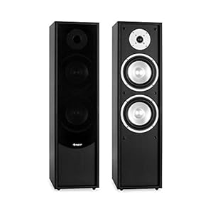 auna – Linie-300-BK, vloerstaande luidsprekers, vloerstaande luidsprekers, luidsprekerkasten, hifi vloerstaande…