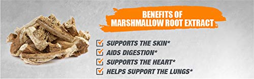6 Bulksupplements+Marshmallow+Extract+Powder+grams