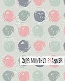 2019 Monthly Planner: Yearly Monthly Weekly 12 months 365 days Planner, Calendar Schedule, Appointme by 