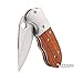 Folding Small Pocket Knife 3 inch Blade Frame Lock Outdoor Mini Pocket knife Tool