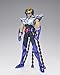 Bandai Tamashii Nations Phoenix Ikki (New Bronze Cloth) 