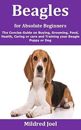 Beagle Care Guide 2025