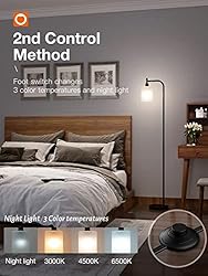 addlon LED Floor Lamp, with Matte White Hanging