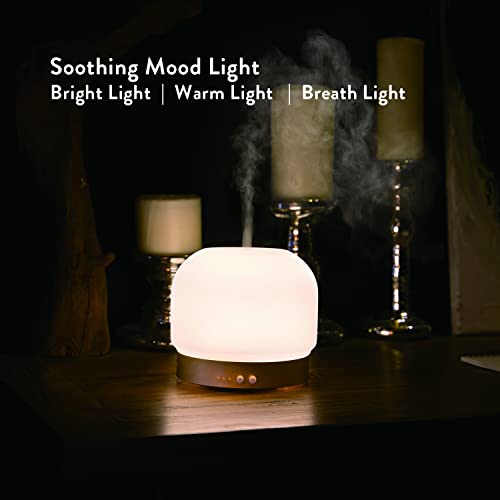 ZEIGGA LAB Essential Oil Diffusers for Large Room 280ml Aromatherapy Diffuser for Home Glass