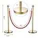 Yaheetech Black Baking Varnished Stanchion Post Rope Barriers -2 Pack Crowd Control Stanchions 36-Inch Height with 6.5 Feet Red Retractable Belt Easy Connect Assembly