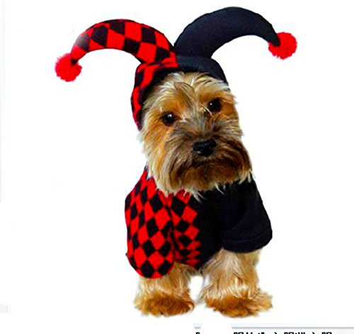 Funny Dog Clothes: Amazon.com