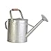 2 Gallon Vintage Galvanized Watering Can with Wood Handle