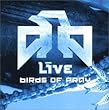 Birds of Pray