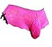 aishani Men's Lingerie Style Underwear - Soft Lace Pouch Briefs Panties,Breathable & Supportive for Everyday Wear,Large Bright Rose