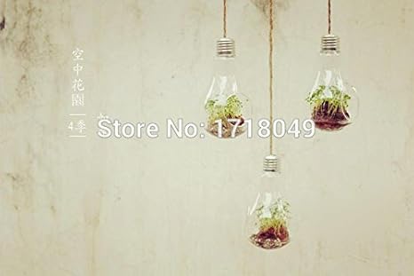 Buy 4pcs Set Light Bulb Hanging Planter Vase Bulbs Globe