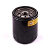 Briggs and Stratton Genuine 491056 Oil Filter