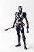 TAMASHII NATIONS Bandai S.H. Figuarts Kamen Rider Hibiki Action Figure