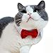 Bolbove Adjustable Formal Pet Bowtie Collar Neck Tie for Dogs & Cats (Small, Red)