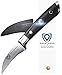 Dalstrong Tourne Peeling Paring Knife - 2.75 inch - Gladiator Series Elite - Forged German High-Carbon Steel - G10 Handle - Kitchen Knife - Sheath Included - NSF Certified