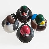 Decoy Rubber Ducks
