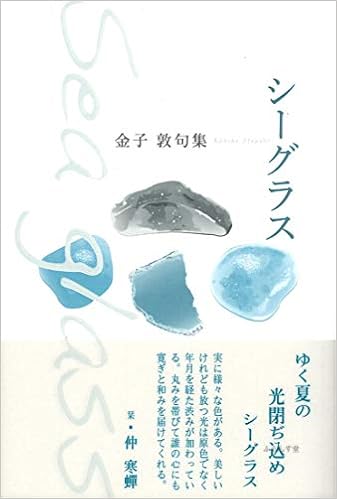シーグラス 金子敦 本 通販 Amazon