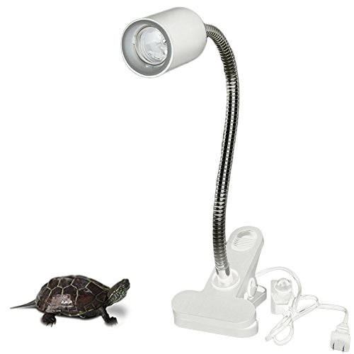 tortoise clamp lamp