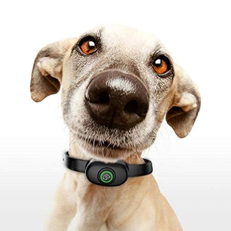 Collar Dog Shock Pet Dog Repellents Scientific Training