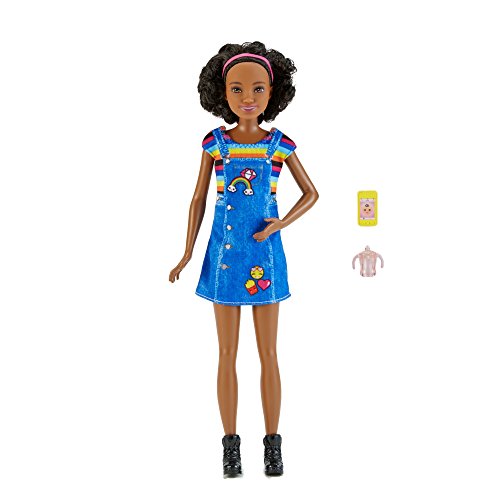 Barbie Dolls and Accessories