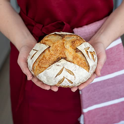 Bulka Bread Proofing Basket Spruce Wood Pulp Round 8" Plane, Sourdough Bread Baking