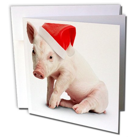 Pig Christmas Cards | Kritters in the Mailbox | Pig Christmas Cards