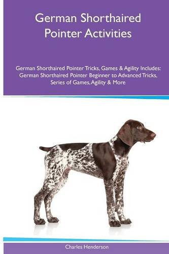 german shorthaired pointer agility