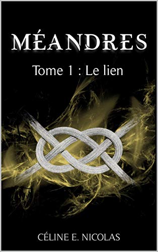 MEANDRES - Tome 1 : Le lien (French Edition) by Céline E. NICOLAS