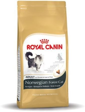 royal canin norwegian forest cat food