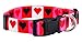 Native Pup Valentine’s Day Heart Dog Collar (Medium, Boxed Hearts)thumb 1