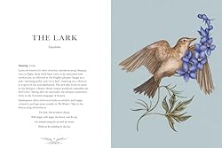 Ornithography: An Illustrated Guide to Bird Lore