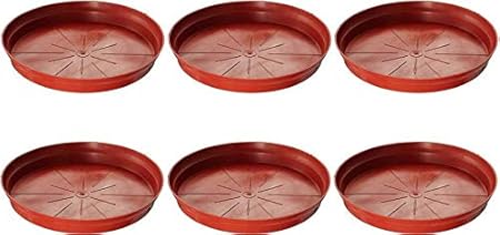 Antier Plate Planter Tray 8 inch Terracotta (Set of 6 Plant Container Set)