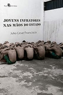 Livro Jovens infratores nas mãos do Estado