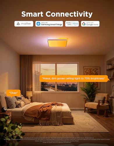 Govee Square Ceiling Light Pro