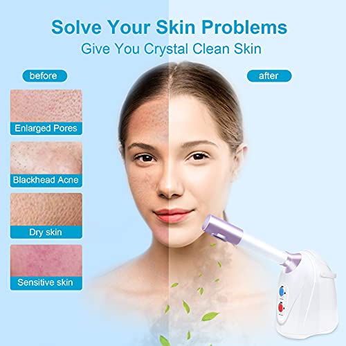 Nano Facial Steamer with Extendable Arm, Cold/Warm/Hot Face Steamer for