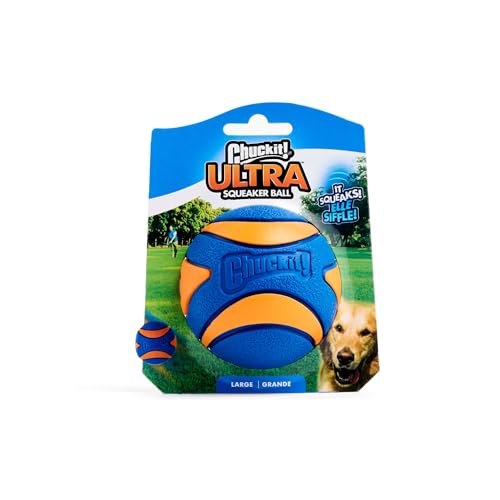 Chuckit! Squeaker Ball Dog Fetch Toy