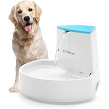 timed water dispenser for dogs