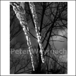 Peter Weyruach