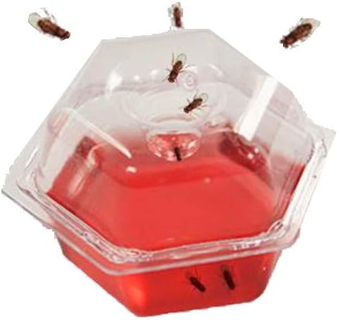 BEAPCO 10036 Prefilled Fruit Fly Traps, 6-Pack, Red : Home Pest Control Traps : Garden & Outdoor