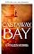 Livro Castaway Bay (Série Sem pai Livro 2)