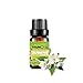 Jasmine Essential Oils,Natural Pure Aromatherapy Oils Therapeutic Grade-10ML