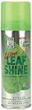 Design Master Ultra Leaf Shine Spray, 6-Ounce